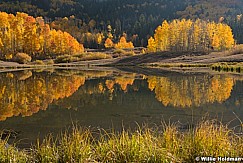 Aspens Reflection Autumn 100420 3693 3