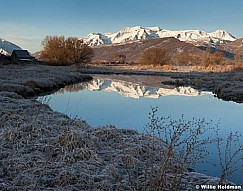 Timpanogos Barn Reflection 031313
