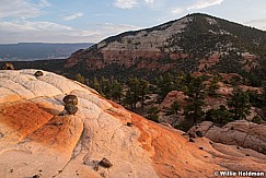 Sandstone Lava 082520 7019 3