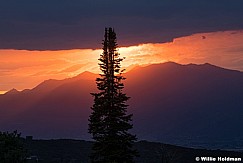 Lone Tree Sunset 091921 3625