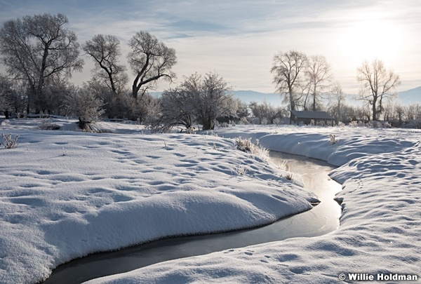 Heber winter stream 012316 0790