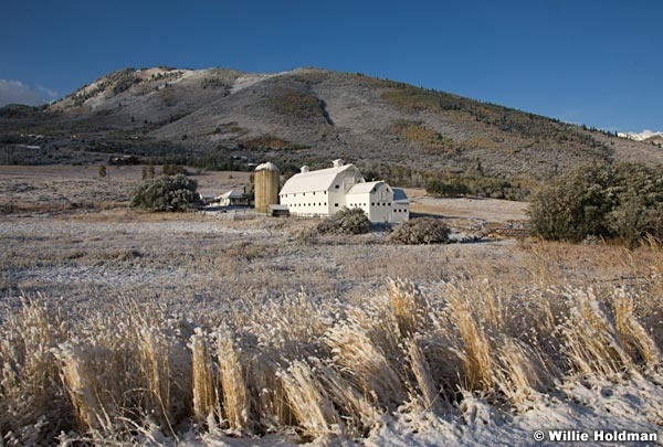 Mcpolin Barn 100509 7
