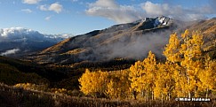 Millpeakgoldenaspens101608