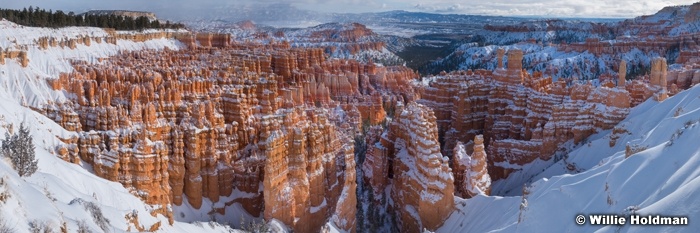 Bryce Canyon Snow Panormama 20x60 121521