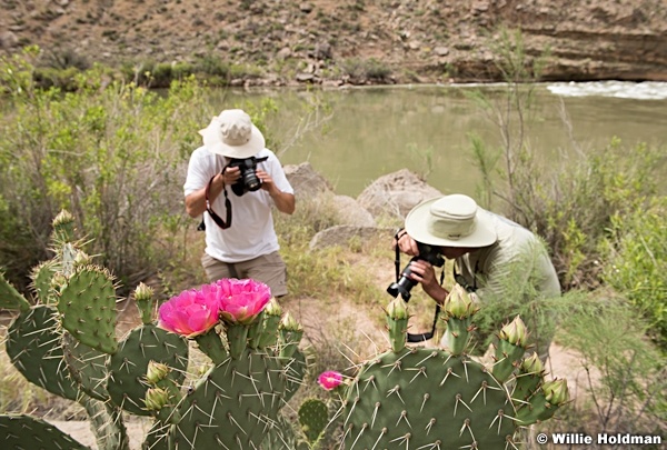 Grand Canyon Photographers 042317 5868