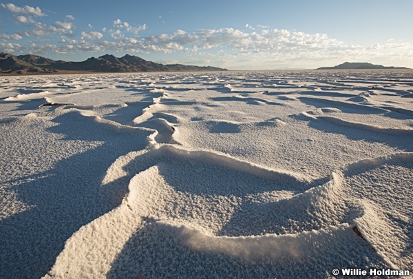 Salt Flats Ridge Lines 082517 4730