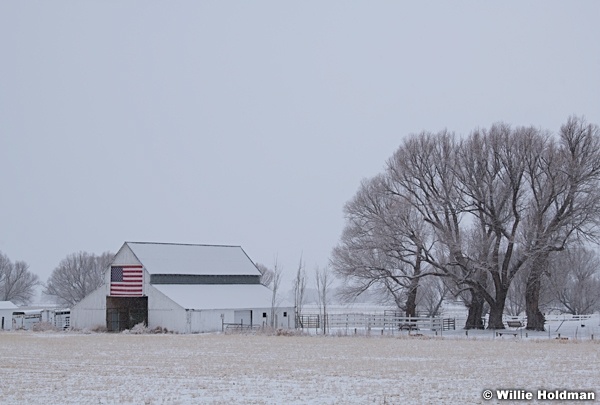 American White Barn 020521 1255 4