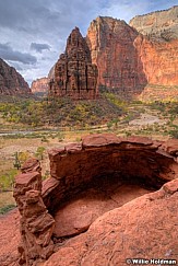 Zion102809