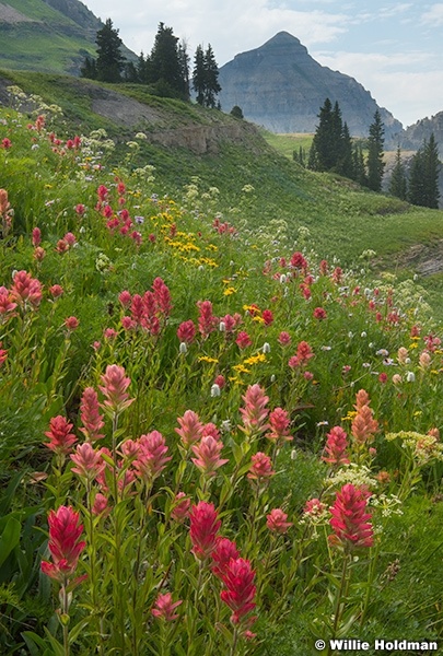 Paintbrush North Peak F072625 0340 2