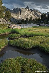 Grassy Meadows Wind River 082324 6654