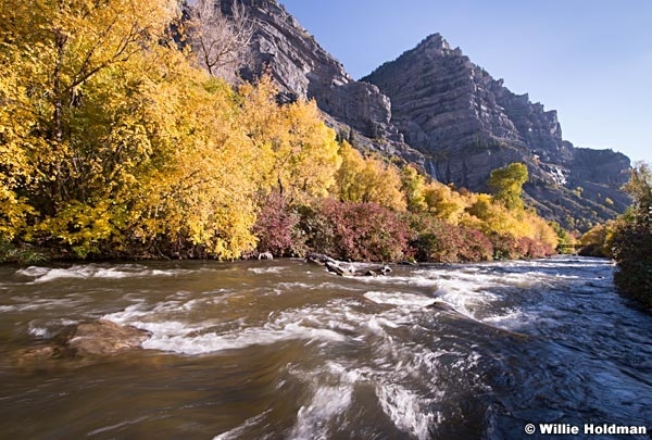 Provo River 100915 2