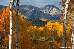 Orange Aspens framing Timp 100125 100125 0578 0737