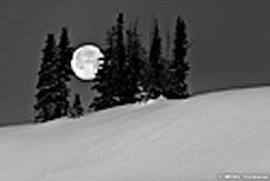 Aspensunmeadow012111 19BW
