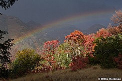 Sundance Raiinbow Timpanogos 092220 0390 3