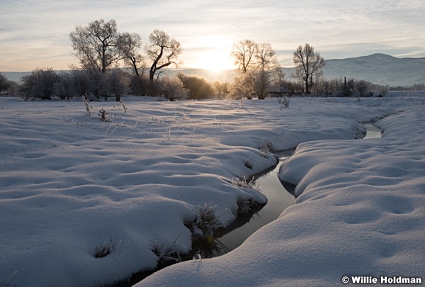 Provo River Frost Timp 012316 0694