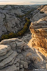 Boulder Cottonwoods 102417 3994