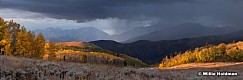 Seasonsgoldenaspens20x60100411