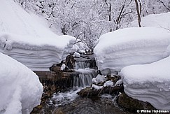 NorthFork Winter Creek 030319 9030