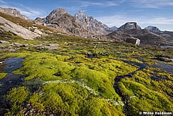 Indian Basin Moss 091419 2