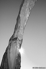 100591500218corona arch