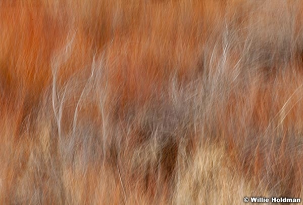 Abstractimpressionism121310 1682