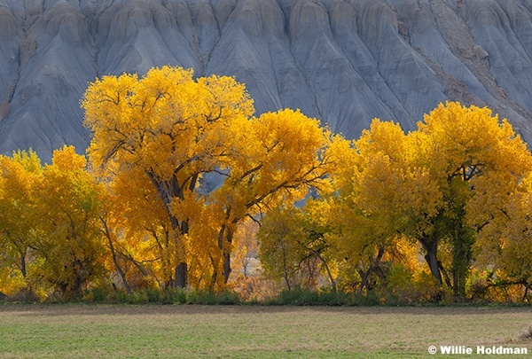 Cainville Badlands 110125 2646 4