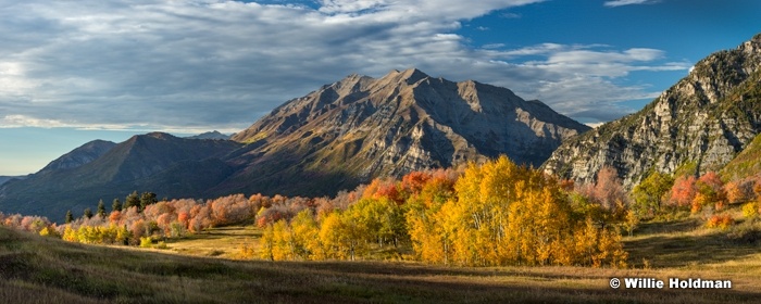 Timpanogos Cascade Meadows 093016 8888 1