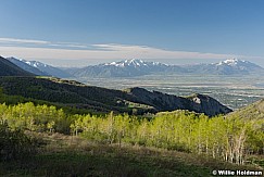 Spring on Timp Utah Valley 051517 8110 8108