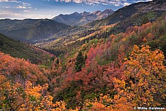 Autumn Color Timp 5819 091514 2