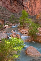 Havasu River Grand Canyon 041723 3935