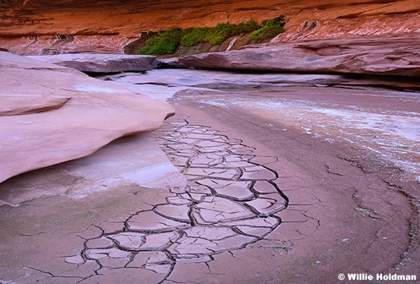 Oljeto Canyon Mud 050726 7092