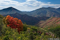 Bear Canyon Maples 091012 728