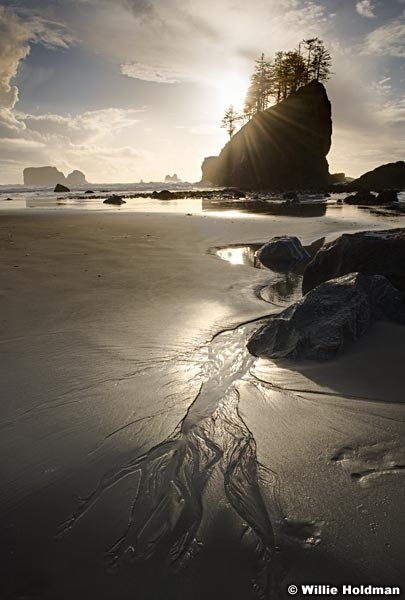 Olympic Beach Rocks 102916