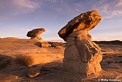 Rim Rocks Sandstone 020215 7495