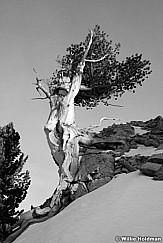 hangon121310 1415BW