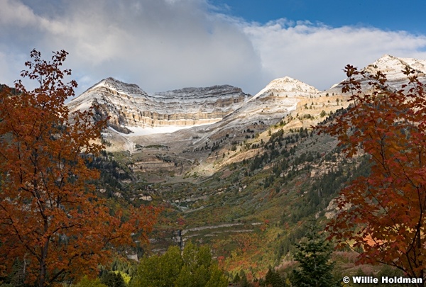 Timpanogos Dusting Maples 100217 7355