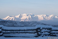 Timpanogos Fence Winter 112518 8616 4