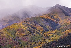 Snow Millpeak 100313 7468