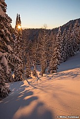 Sunrise Winter Pines 011417 0992