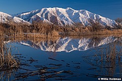 Snowy Maple Mountain 020719 7081 4