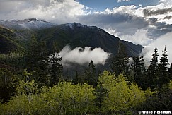 Spring Greens Cloud 052913 6015