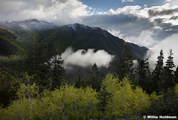 Spring Greens Cloud 052913 6015