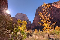 Zion Narrows 110613 9602 3