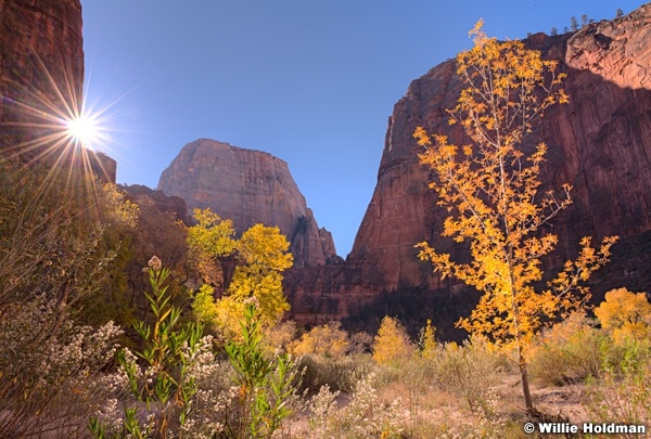 Zion Narrows 110613 9602 3