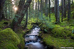 Hood Wilderness Stream 110614 7659 4