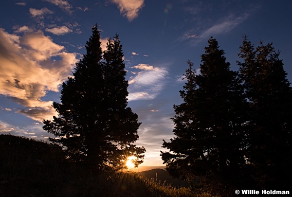 Sunrise Pines 093013 6668