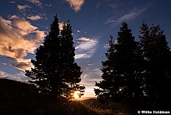 Sunrise Pines 093013 6668