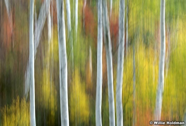aspenabstract092507 1011
