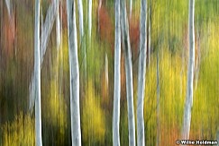 aspenabstract092507 1011