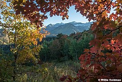 Maples Framing Timp 091824 9764